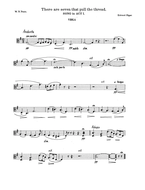 Violas
