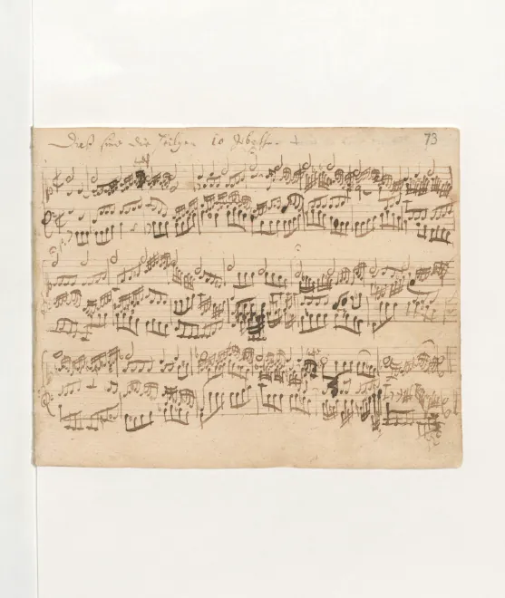 Dies sind die heilgen zehn Gebot, BWV 635