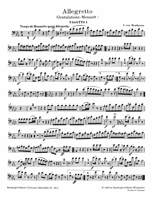 Bassoon 1