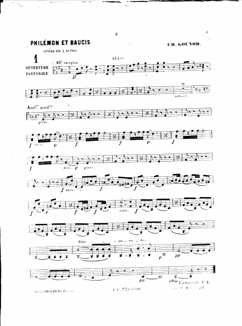 Violas