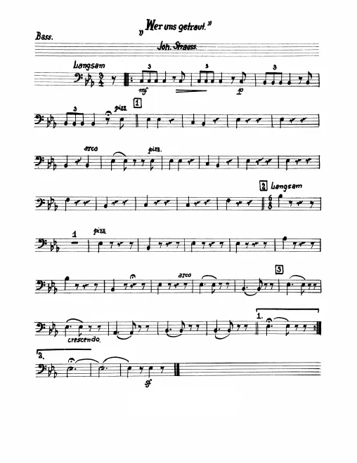 Basses