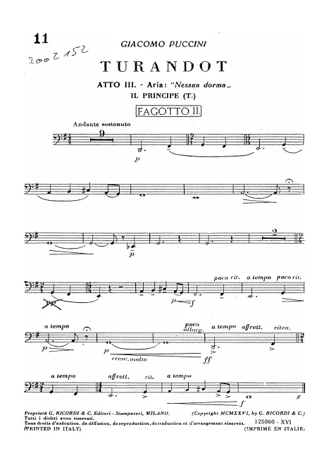 Bassoon 2