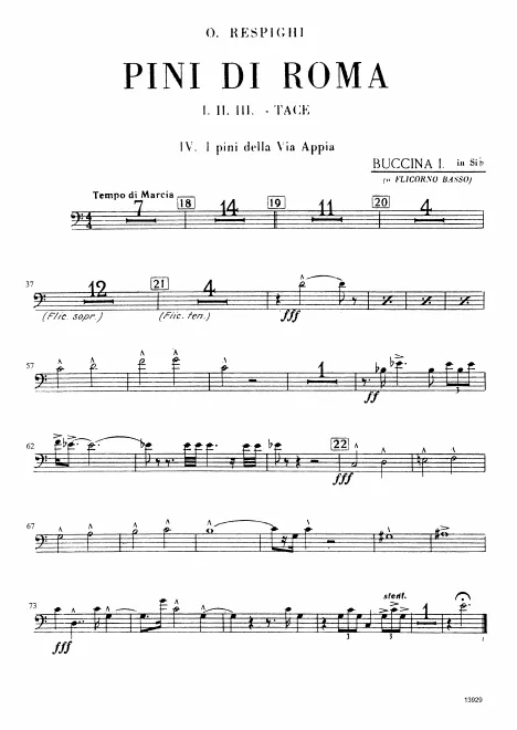 Bass Buccina 1 (B)