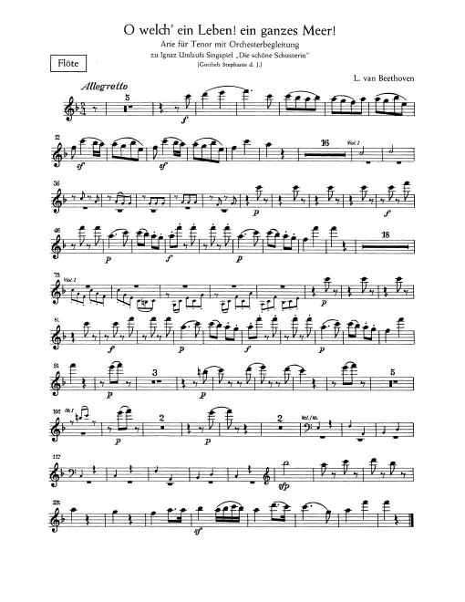 Flute