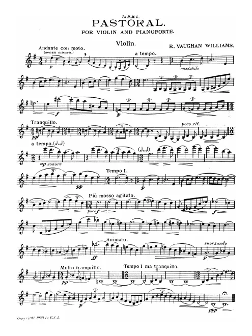 Violin