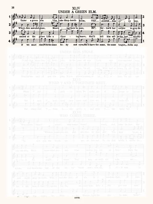 First page of Under a Green Elm