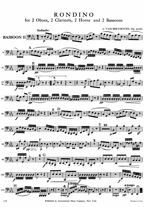 Bassoon 2
