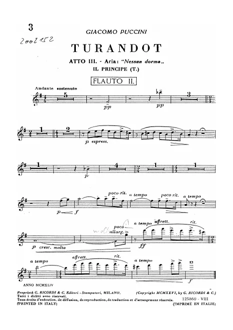 Flute 2