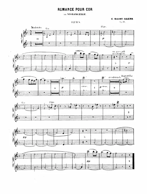 Flute 1/2