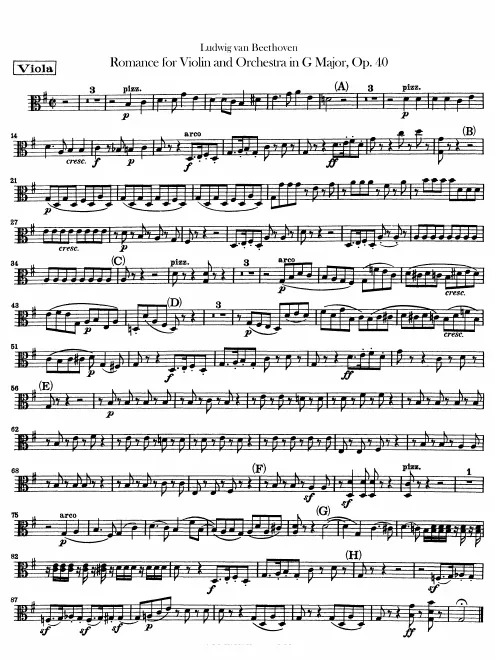 Violas