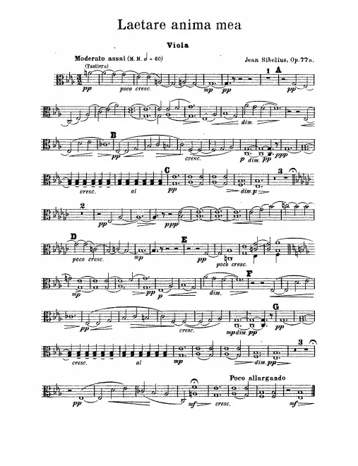Violas
