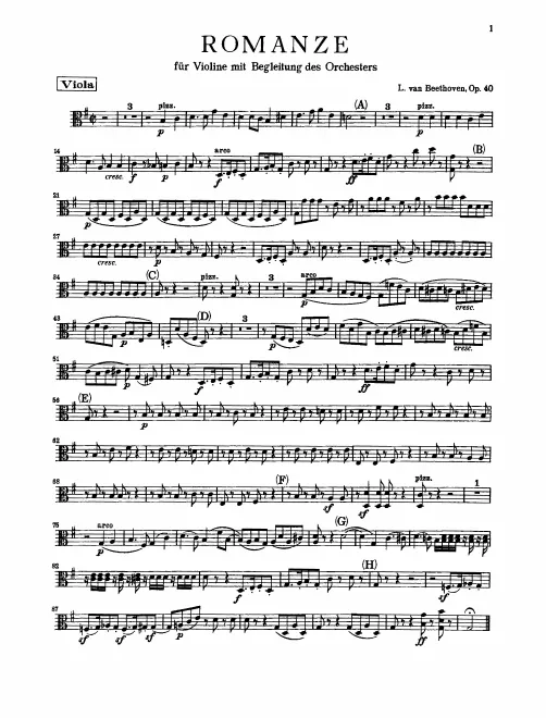 Violas