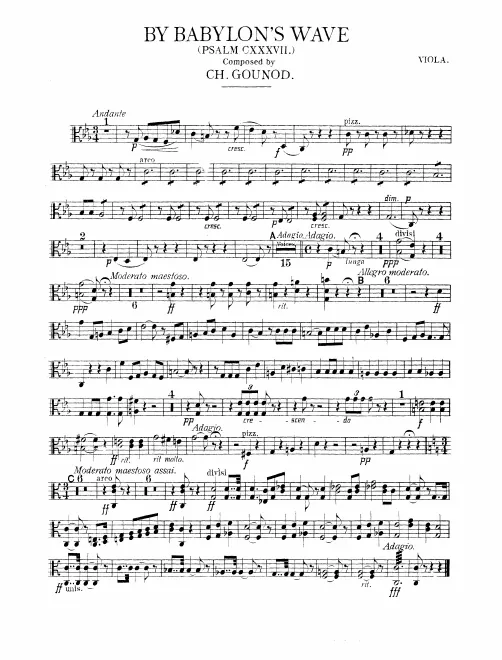 Violas