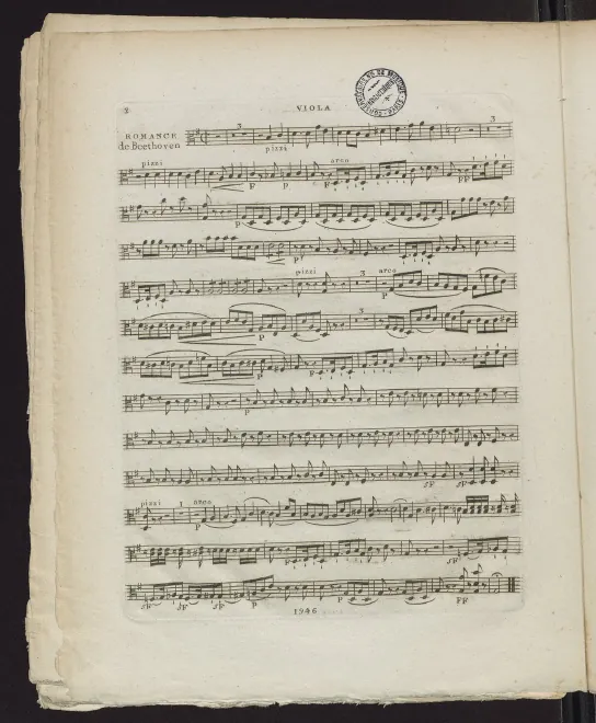 Violas