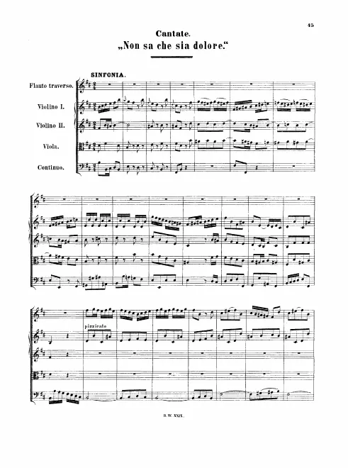 First page of Non sa che sia dolore
