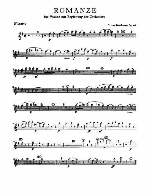 Flute