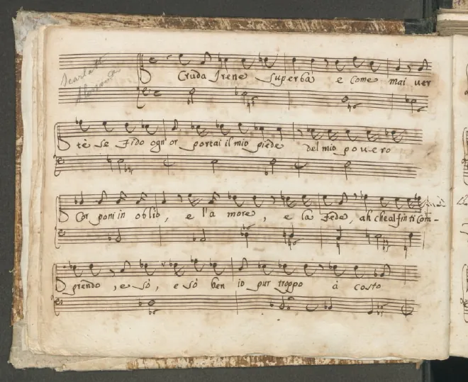First page of Cruda Irene superba