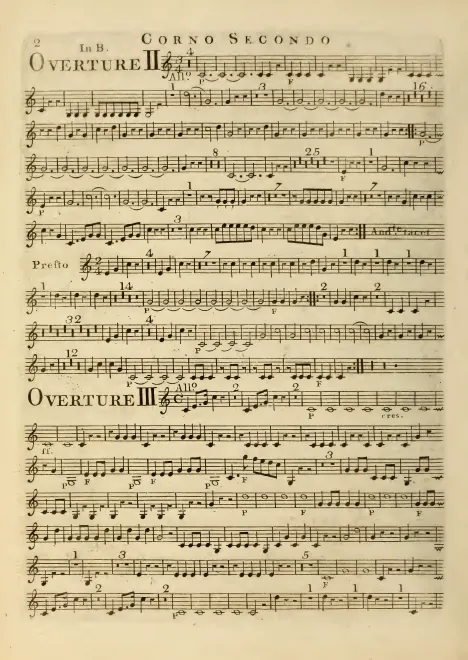 Horn 2 (B)