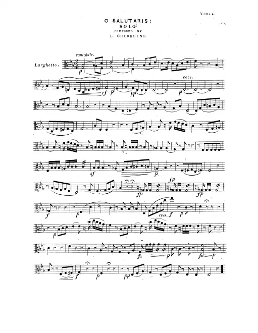 Violas